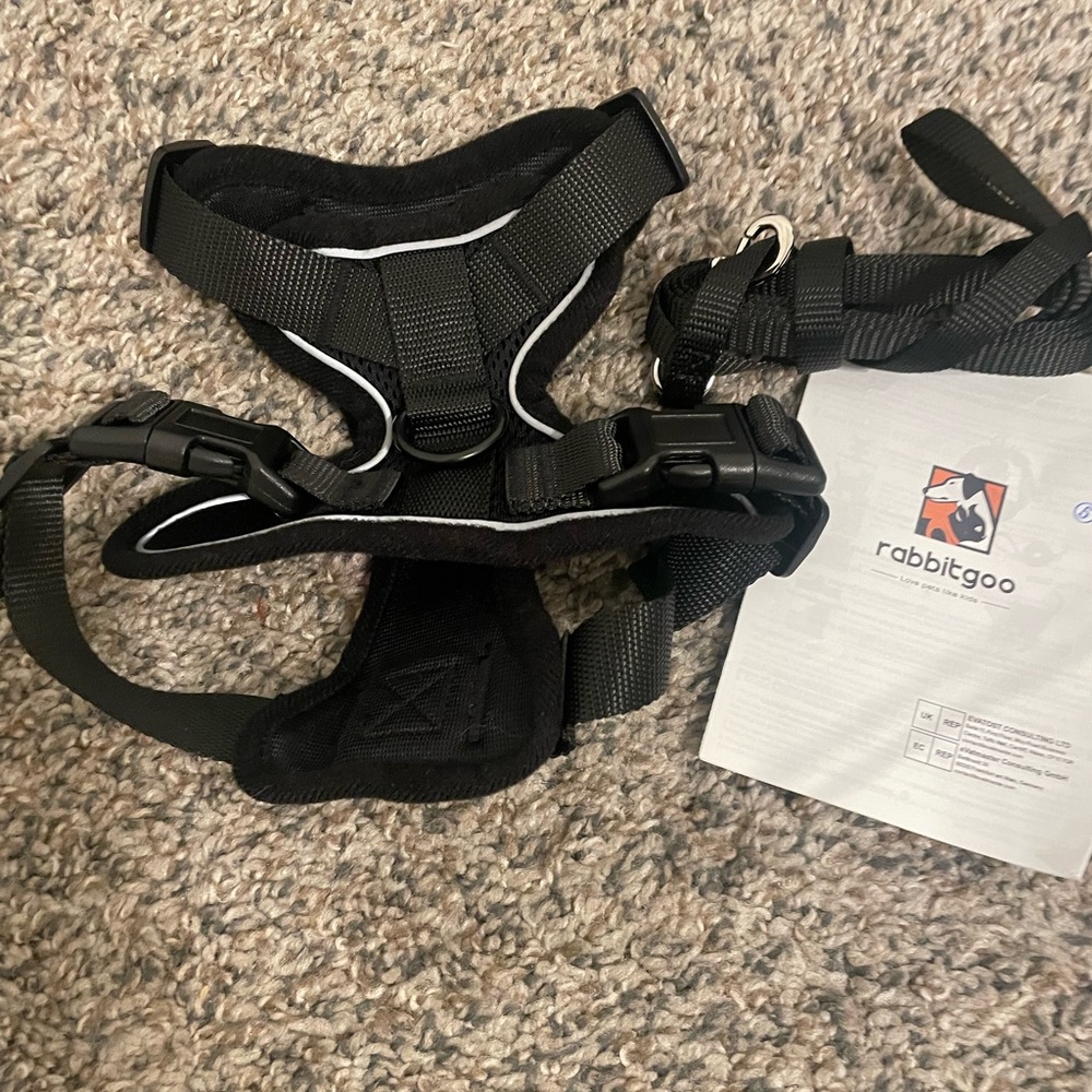 Cat harness - Picture 2 of 6